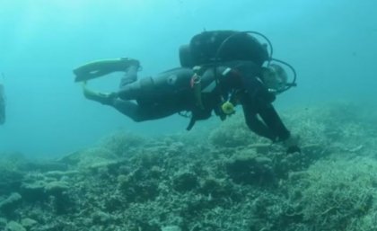 Volunteer scientists survey the Great Barrier Reef.